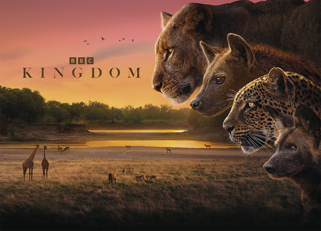 Kingdom